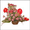 Frantic Thoughts - Click here to View more details about this Product